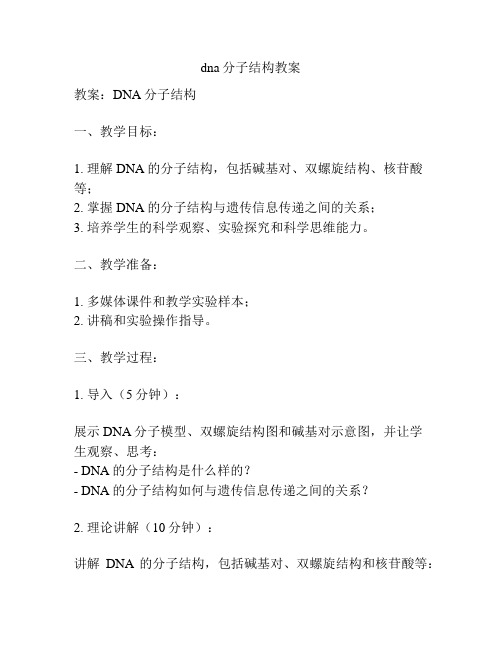 dna分子结构教案