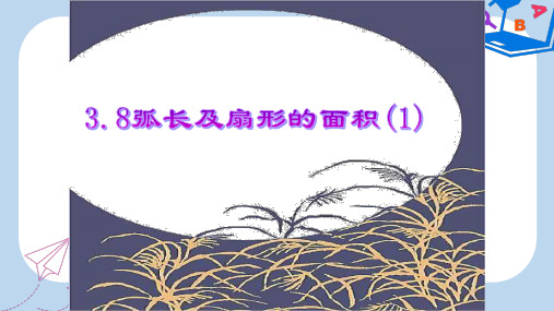 【精选】九年级数学上册3.8弧长及扇形的面积1课件新版浙教版351