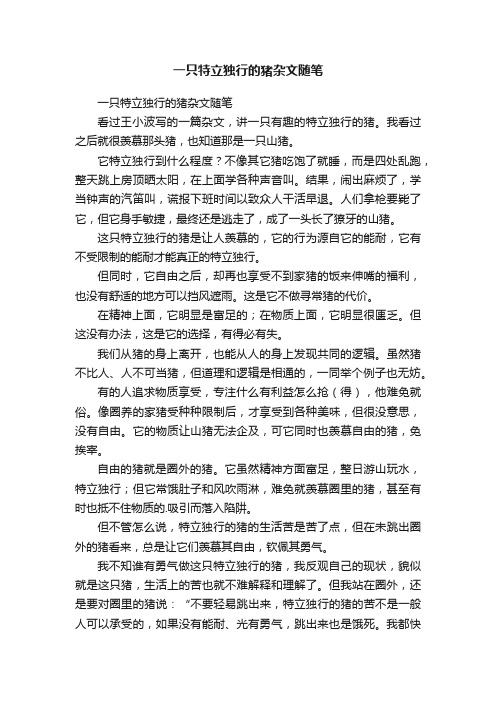 一只特立独行的猪杂文随笔