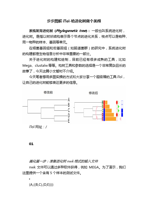 步步图解iTol-给进化树做个美颜