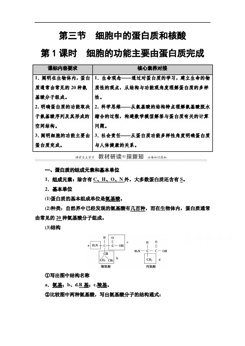 2020-2021学年新教材生物苏教版必修一教案：第1章 第3时 细胞的功能主要由蛋白质完成