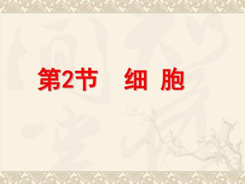 浙教版七年级上册科学2.2细胞(31张ppt)