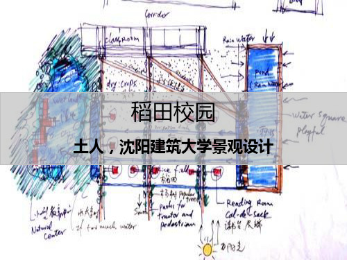 土人。沈阳建筑大学景观设计