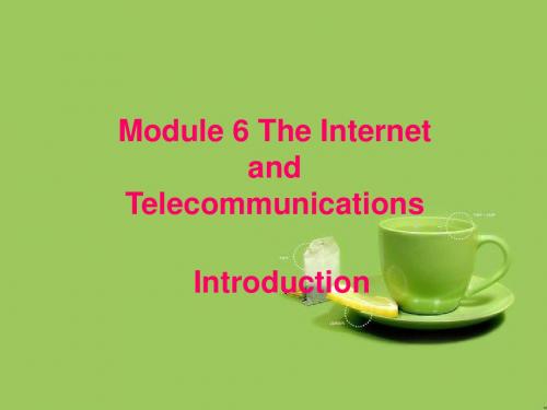 辽宁省大连市铁路中学高中英语 Module 6 introduction 课件