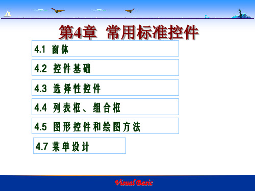 第4章 常用标准控件PPT教学课件