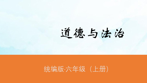 六年级上册道德与法治课件宪法是根本法人教部编版