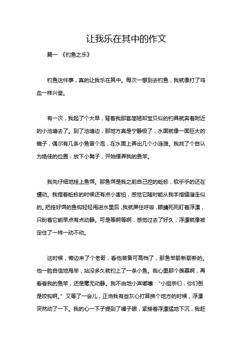 让我乐在其中的作文