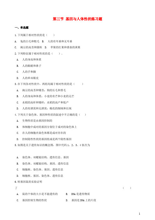 上海市八年级生物上册第2章人体生命活动的调节第三节基因与人体性状练习题沪教版