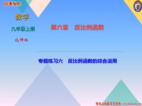 2018年秋北师大版(河南专版)九年级上学期数学作业课件：专题练习六 反比例函数的综合运用 (共31张PPT)