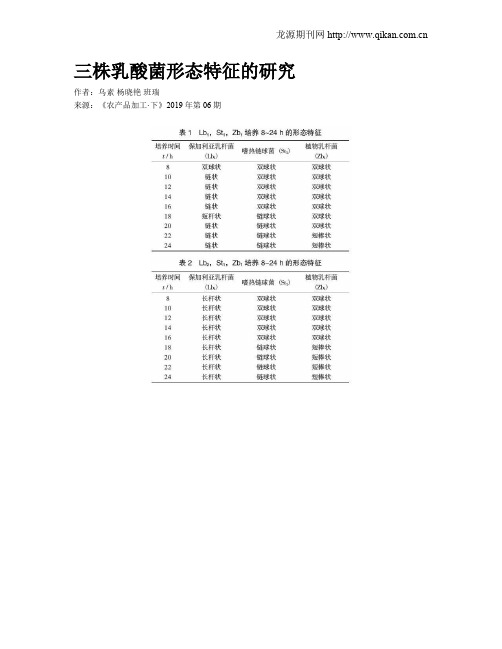 三株乳酸菌形态特征的研究
