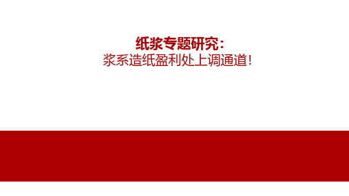 纸浆专题研究报告深度分析