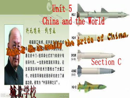 新九年级仁爱英语九年级下册 Unit 5 Topic 2 Section C
