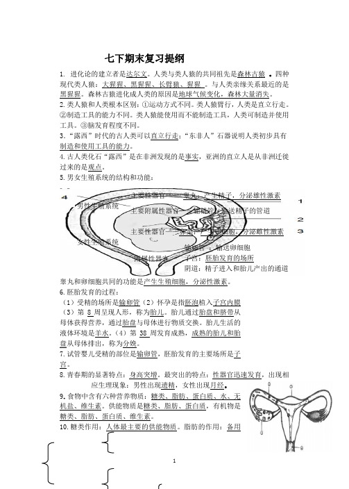 生物七年级下册期末复习知识点总结