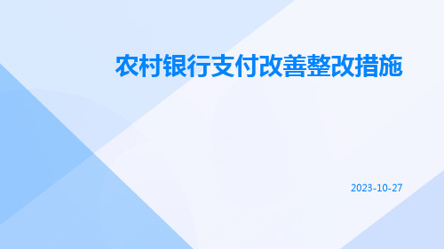 农村银行支付改善整改措施