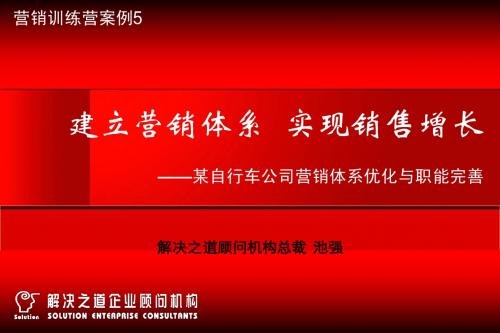 案例5：建立营销体系,实现销售增长——某自行车公司营销体系优化与职能完善