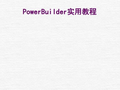 powerbuilder培训