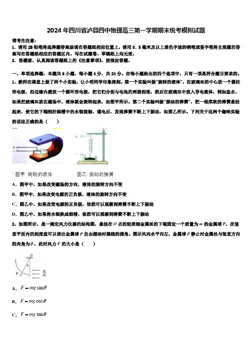 2024年四川省泸县四中物理高三第一学期期末统考模拟试题含解析