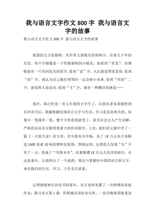 我与语言文字作文800字 我与语言文字的故事