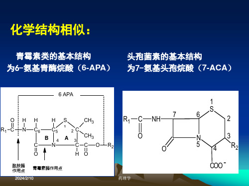 药理学课件第二十八章-内酰胺类抗生素