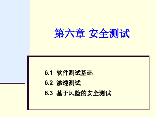 软件安全-安全测试共96页PPT资料