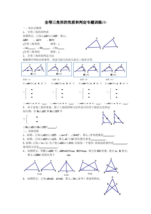 全等三角形的性质和判定专题训练