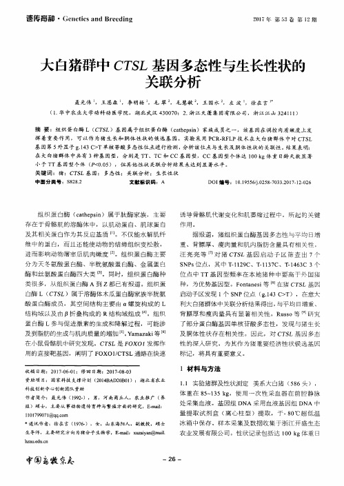 大白猪群中CTSL基因多态性与生长性状的关联分析