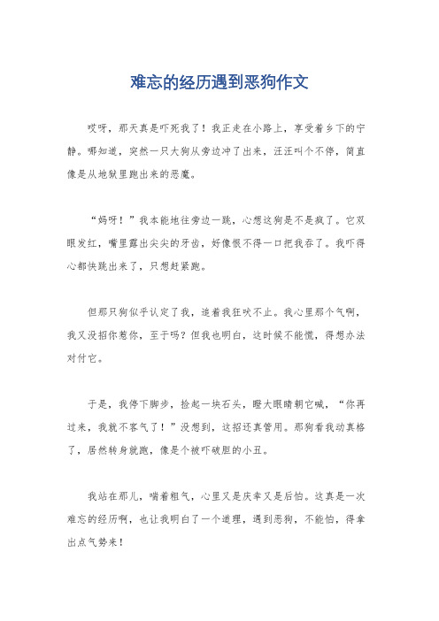 难忘的经历遇到恶狗作文