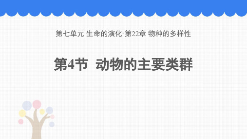 新北师大版初中八年级生物下册《动物的主要类群》教学课件