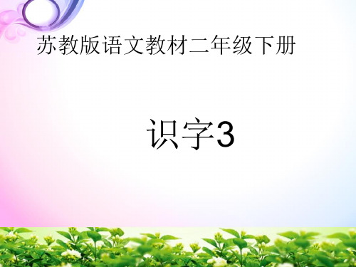 苏教版二年级下册(2019新教材) 识字3 木 禾