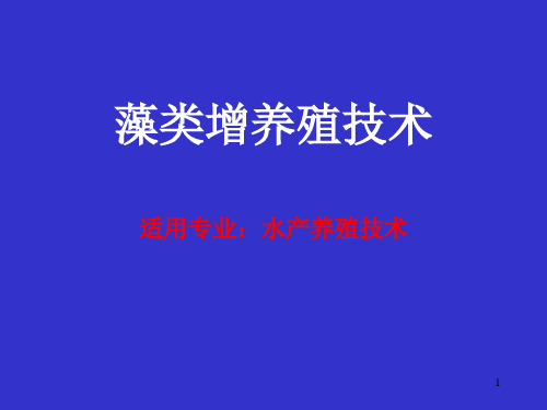 紫菜养殖.ppt