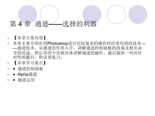Photoshop cs4中文版标准实例教程第4章通道——选择的利器