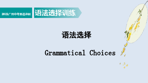 2021年广东省广州市中考英语语法选择冲刺训练课件(共23页)