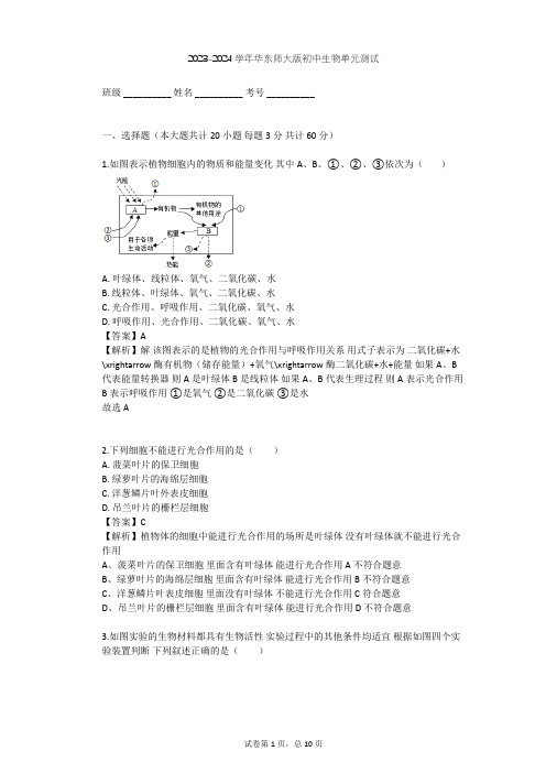 2023-2024学年初中生物华东师大版八年级上第四章 植物的物质和能量的转化单元测试(含答案解析)