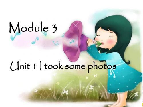 六年级下册英语教学课件Module 3 Unit 1 I took some photos 2 外研社(一起)
