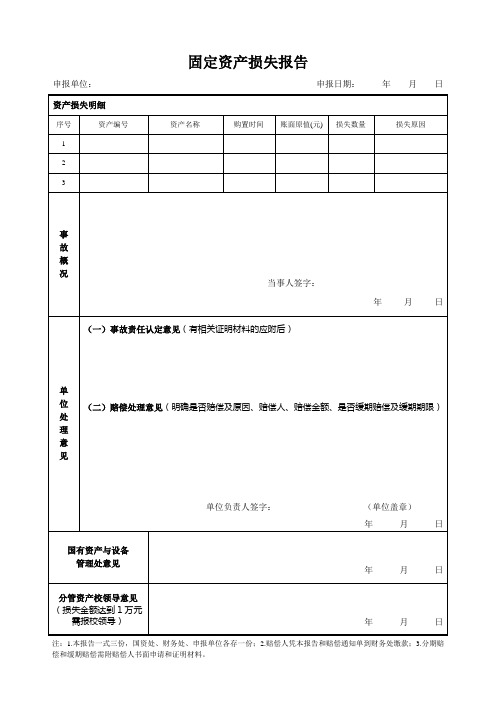 固定资产损失报告