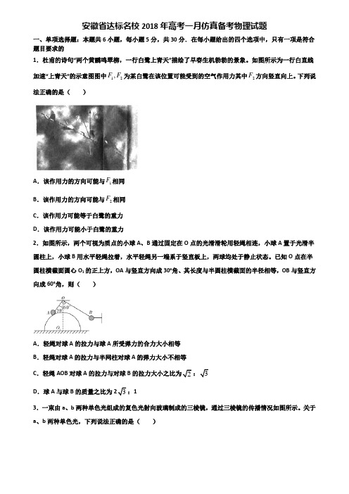 安徽省达标名校2018年高考一月仿真备考物理试题含解析