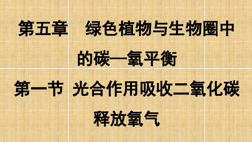 初中七年级生物上册3.5.1光合作用吸收二氧化碳释放氧气名师优质课件1新版新人教版