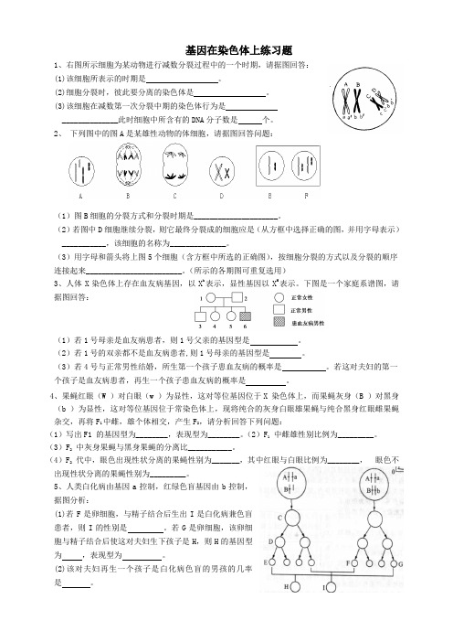 基因在染色体上练习题