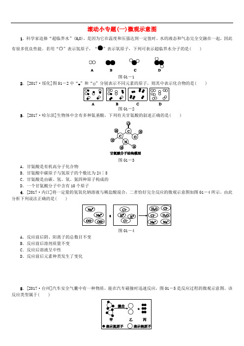 中考化学复习 滚动小专题一 微观示意图