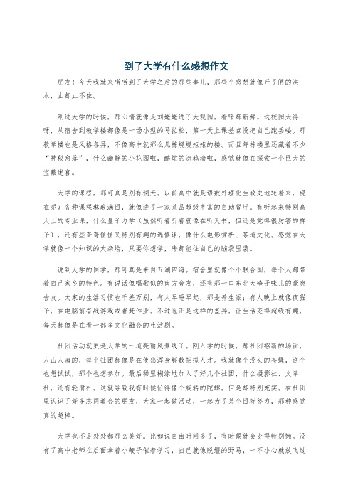 到了大学有什么感想作文