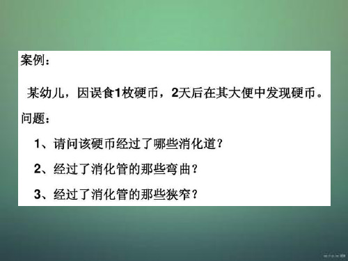 正常人体解剖学-消化系统