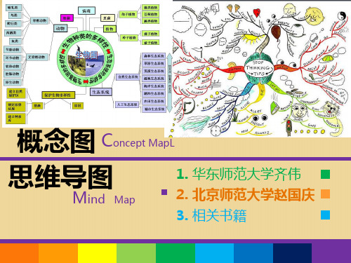 概念图与思维导图区别