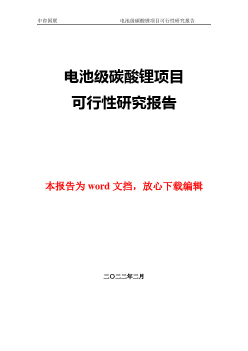 电池级碳酸锂项目可行性研究报告完整版