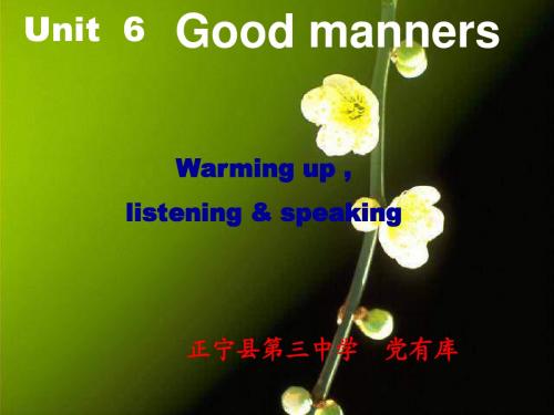 高一英语Good-manners课件