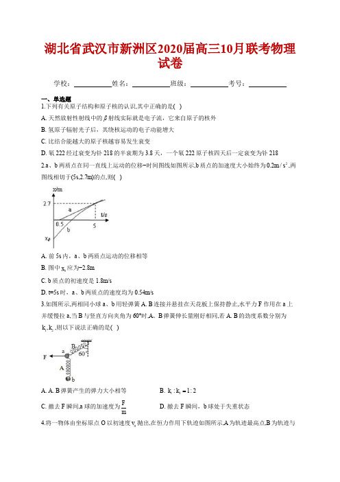 湖北省武汉市新洲区2020届高三10月联考物理试卷