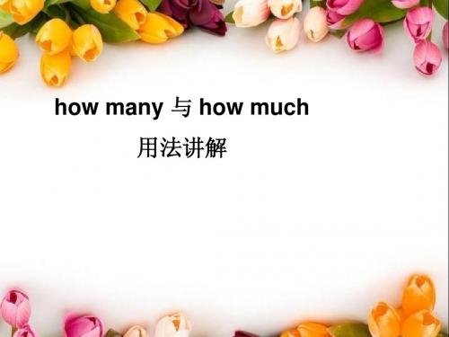 How_many_and_How_much的对比与应用