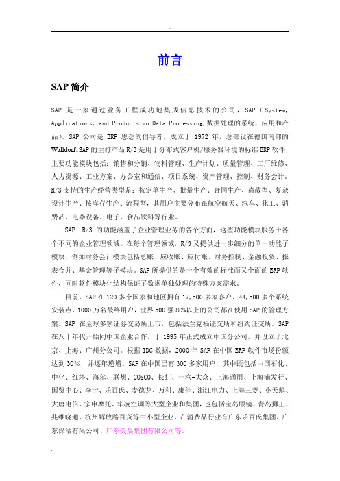 sap超详细教程(中文)