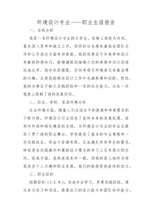 环境设计专业——职业生涯报告