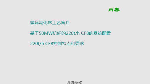 循环流化床锅炉工艺及控制课件PPT学习