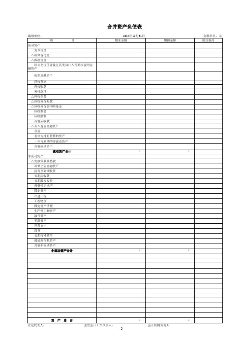 上市公司财务报表模板